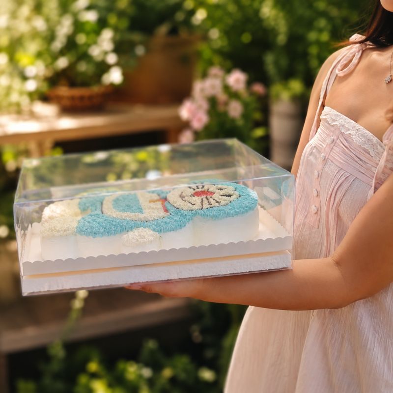 Cake Box